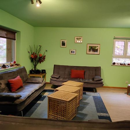 Ferienhaus Route 5 Elmstein المظهر الخارجي الصورة